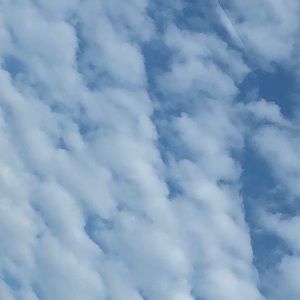 Meet your Posher, Jeni